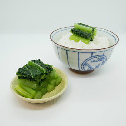 太成食品「信州漬物 のざわな漬 わさび風味」350g 1袋【クール便】